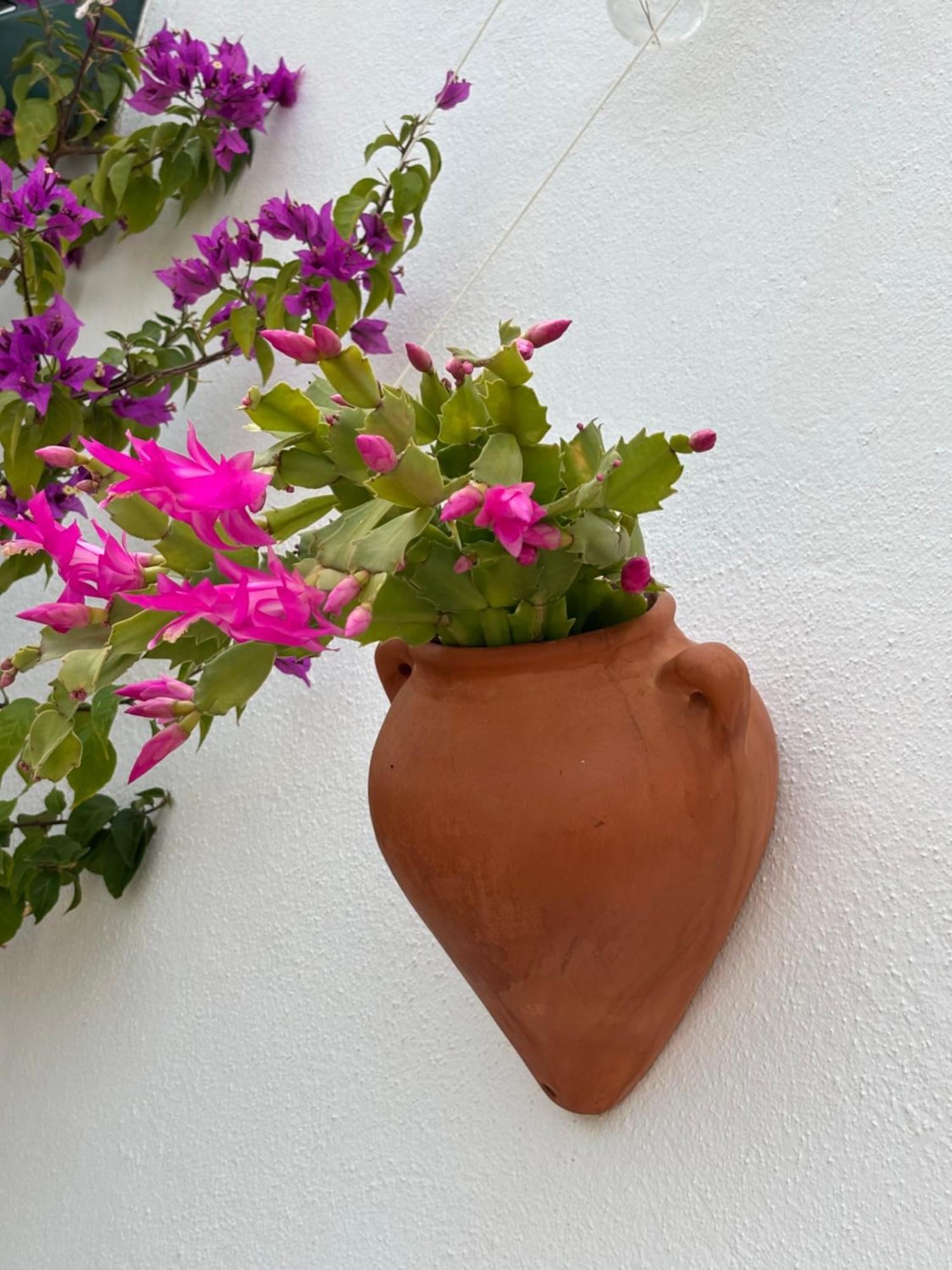 Casa Alta B&B Torrox Ngoại thất bức ảnh
