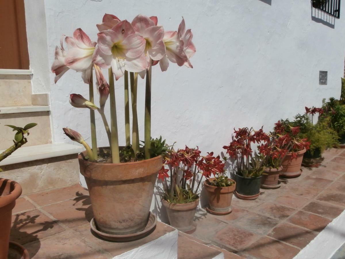 Casa Alta B&B Torrox Ngoại thất bức ảnh